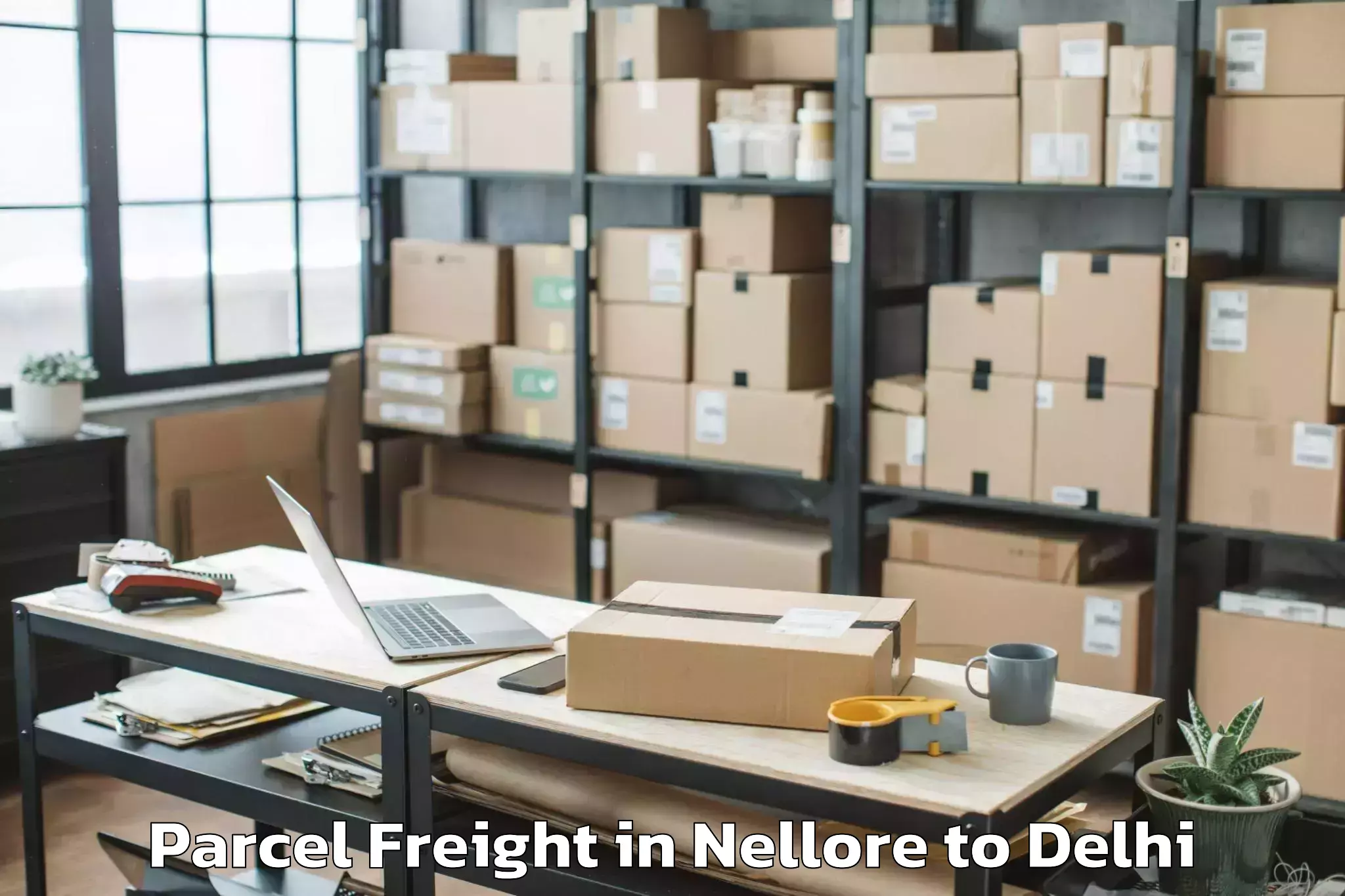 Book Your Nellore to Alipur Parcel Freight Today